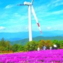 남상면-35 이미지