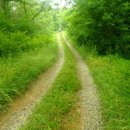 임피남산 약수터 이미지