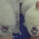 나는미용사다 이미지