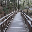장산토성 이미지