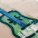 나무 7천 그루로 만든 사랑의 '기타 농장 이미지