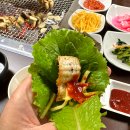 청솔장어 - 의정부시 | 청솔장어