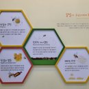 꿀벌나라테마공원 이미지