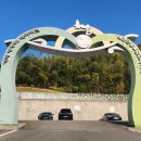 맹종죽테마파크1 이미지