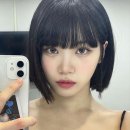 르무드헤어 이미지