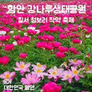 강나루 - 광진구 아차산로57길 5 | 함안 칠서 청보리 작약축제 후기｜강나루 생태공원 개화 주차 2026 일정 총정리