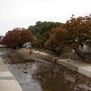 백화당약국 이미지