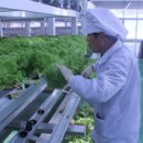 (주)다해푸드 이미지