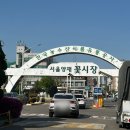 지경꽃화원 | [양재] 양재꽃시장 (화훼공판장)