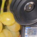 도양농장 이미지