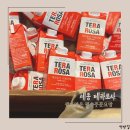 어진동_복건복지부(별관)앞 | 세종커피맛집 어진동 카페 테라로사 방문후기