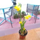 힐링카페온 이미지