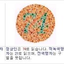 파프리카안경 이미지