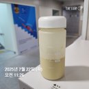 씨유제주건강관리협회점 | 수영 초보의 인명구조요원 라이프가드 자격증 후기 4탄 (무한 수영 연습)