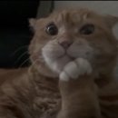 흠