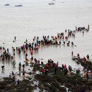 진도보배섬특산품 이미지