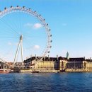 트립포미 이미지