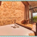 카사미아 이미지