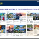 동해오션시티레지던스호텔 이미지