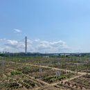 행복을 farm 이미지