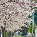 단미정원 이미지