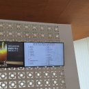 두평목장 | 아기랑 가볼 만한 곳 가평 양떼목장 할인·체험·카페까지 모두 정리