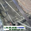 서울창천초등학교 이미지