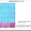 올데이티 이미지
