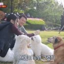 도그동물농장 이미지