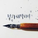 알비디