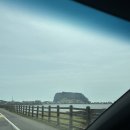 비자낭달집 이미지