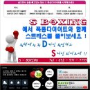 성산효권투체육관 이미지