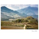 수산리-4 이미지