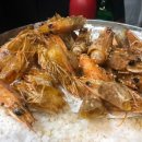 오징어천국 이미지