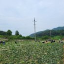군청 건설과 이미지