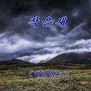 작은새 - 어니언스(이수영.임창재) 이미지