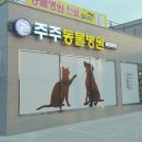 주주동물병원 이미지