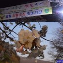 2015년 동학사 벚꽃 축제 이미지