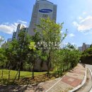 대호만로 이미지