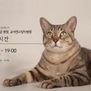 유어캣 고양이병원 이미지