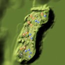 오케이 골프 이미지