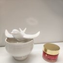 스와니브 이미지