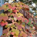 부천초등학교 이미지