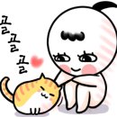 삼층고양이 이미지
