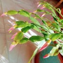 자연의 순환 이미지