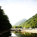 장령산자연휴양림 야영장 이미지