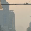 2604 도쿄 여행 - 01 도쿄 체크인 WE501 후기