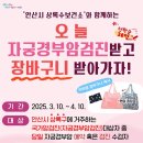 상록수 이미지