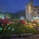 원 스테이 이미지