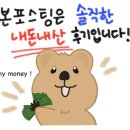 샵돼일리 이미지